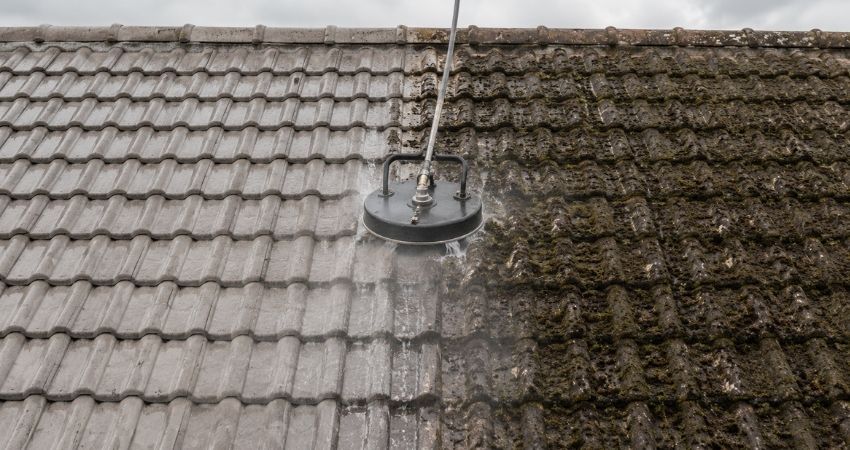 What Roof Cleaning Involves From Start to Finish